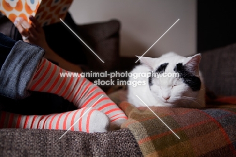 black and white cat sleeping next to girl reading and in stripey socks