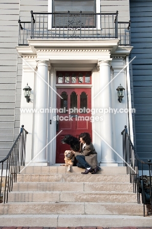 Two labradors with owner on house front step.