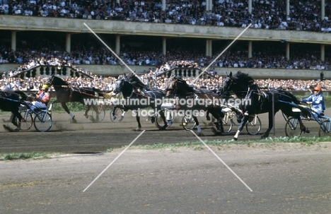 trotters racing at moscow racecourse