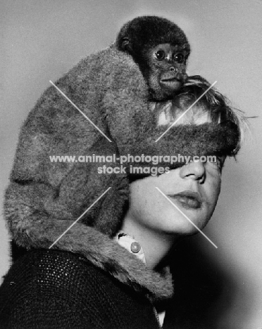 Woolly Monkey holding onto a girl