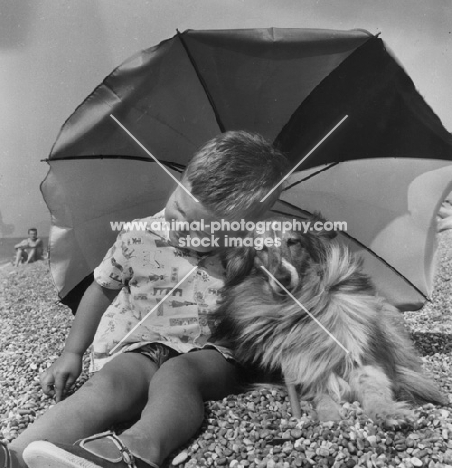 Sheltie and boy under a parasol
