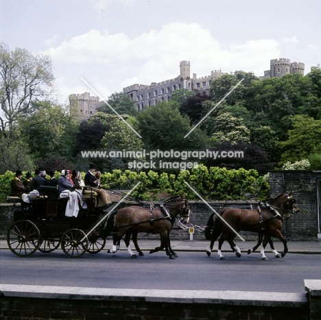 coaching marathon at windsor show 1976