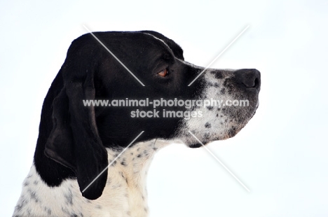 Pointer profile