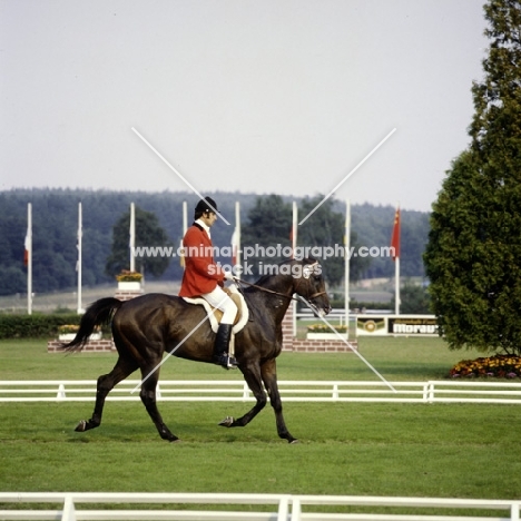 eventing dressage, s.fedko,  riding sedum, USSR, luhmuhlen 1979, sedum
