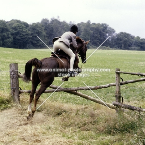 jumping crossed poles with the pony club