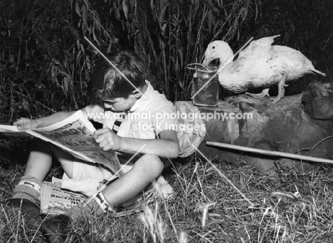 duck sneaking up behind boy reading comic