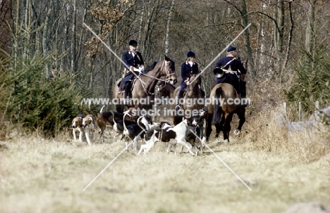 hunting scene in france