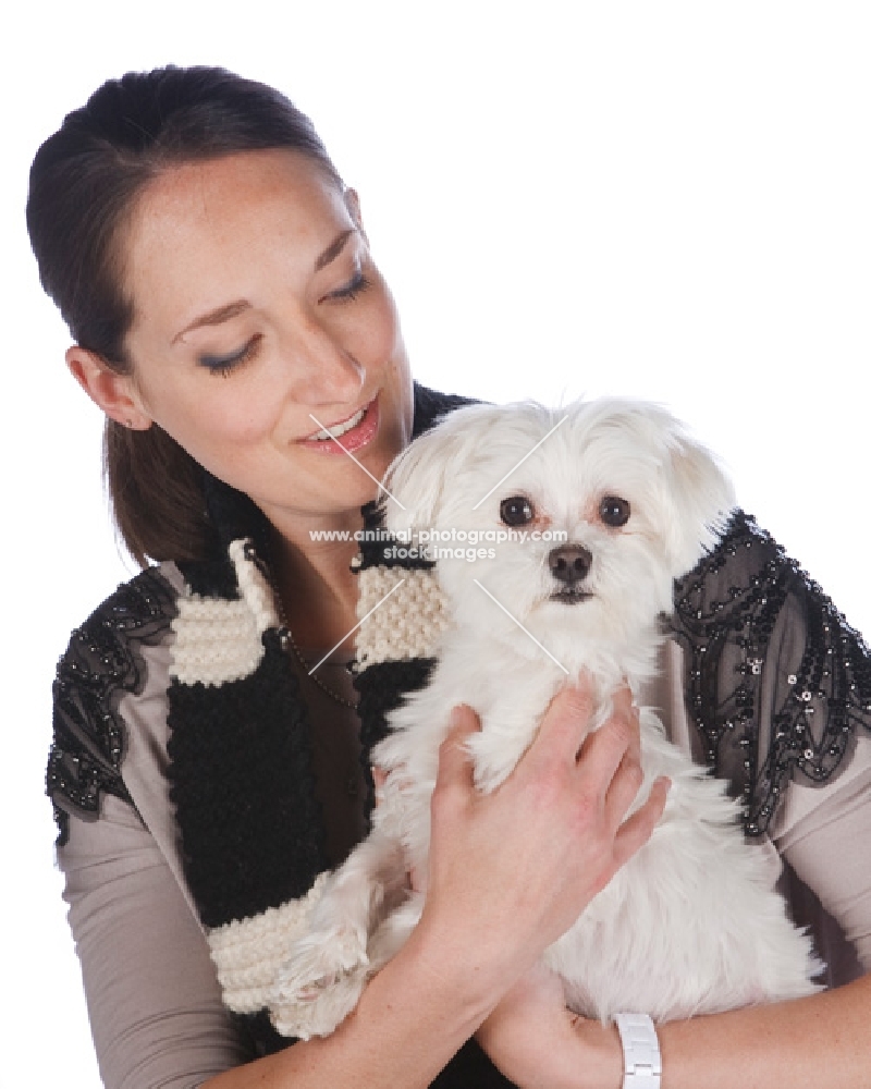 woman holding a Maltese