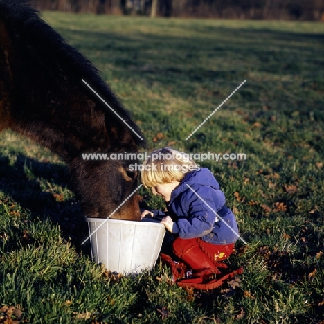 child giving feed to pony