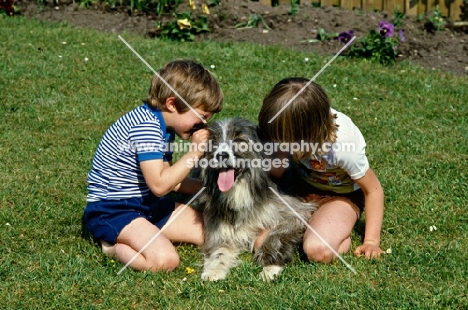 dog good with children