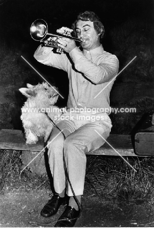 Westie listening to a man playing the trumpet