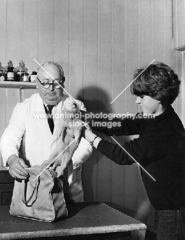 PDSA dispensary at Walthamstow, woman with ferret