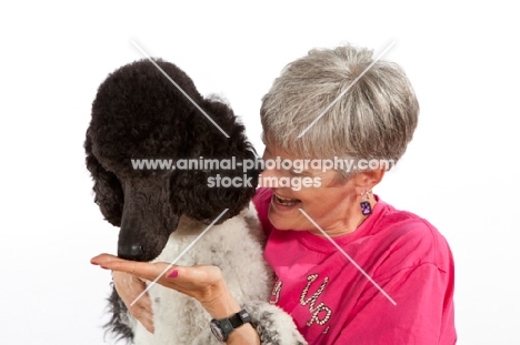woman and black and white standard Poodle