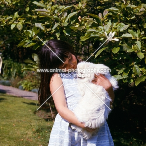child holding a pekingese