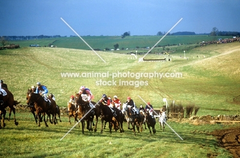 heythrop hunt point to point at fox farm,1982 