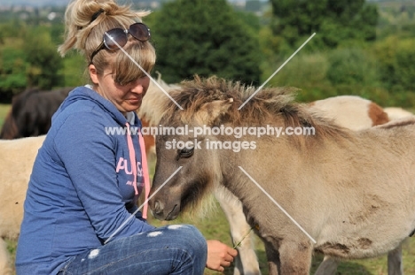 miniature shetland pony foal foal and young lady giving him attention