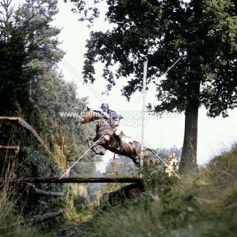 therry la cour, france, riding sertorius, eventing, cross country, luhmuhlen 1979
