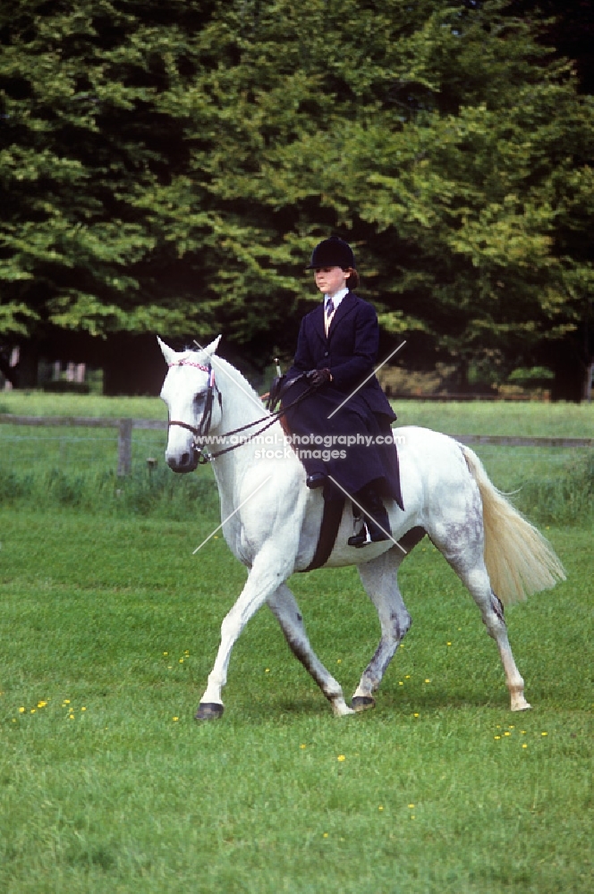 lady riding side saddle on grey horse