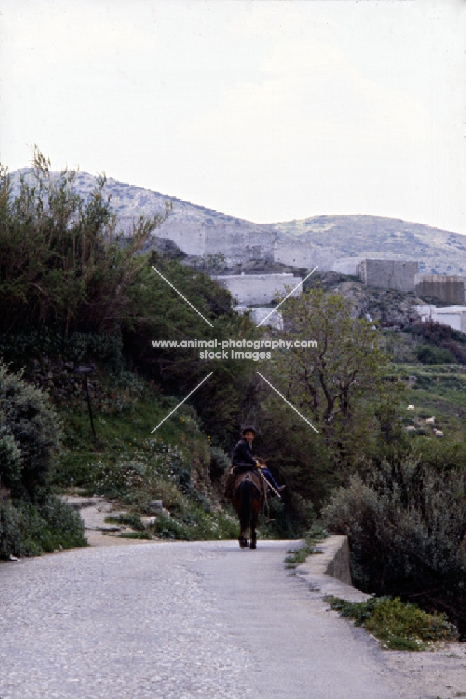 child riding skyros pony on skyros island, greece