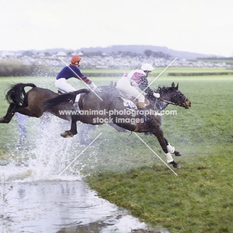 jumping the water at point to point, kimble
