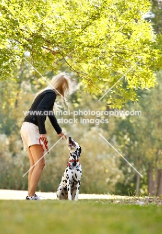 woman and her dalmatian