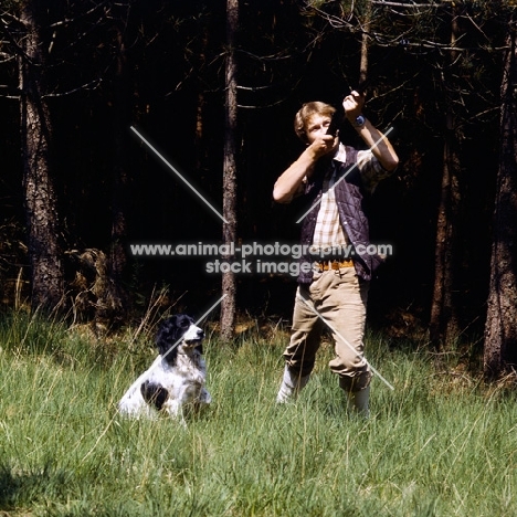 working type english springer spaniel at a gun shoot