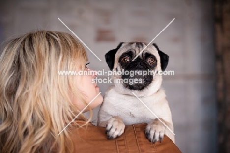 female cuddling fawn Pug