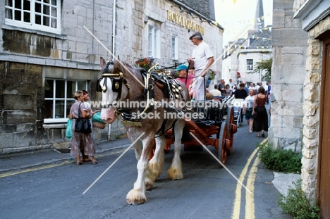 shire horse with a cartload of children parading through painswick village, cotswolds, gloucestershire