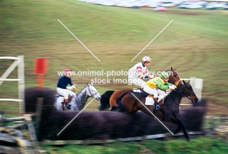 heythrop hunt point to point at fox farm, 10.4.77