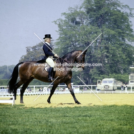 dressage at goodwood 1976