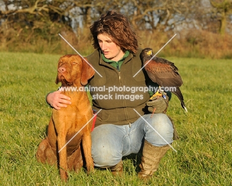 Hungarian Wirehaired Vizsla (aka Magyar Vizsla, Ungarisch Drahthaar) with woman and bird of prey