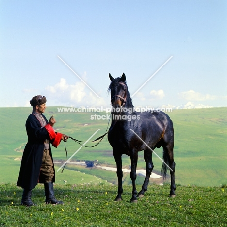 Arbich, Kabardine stallion held by cossack in Caucasus mountains