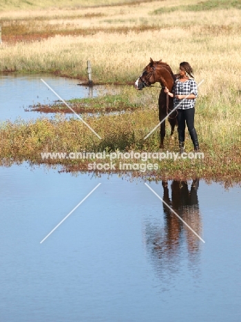 Welsh Cob (section d) with woman