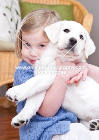 girl holding her Labrador puppy