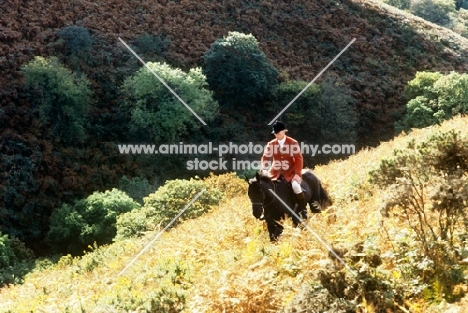  horse and rider on hillside fox hunting on exmoor