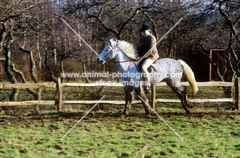 rider on pony cantering