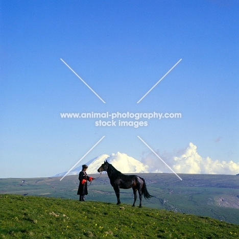 Kabardine stallion held by cossack in Caucasus mountains, Mt elbruz 