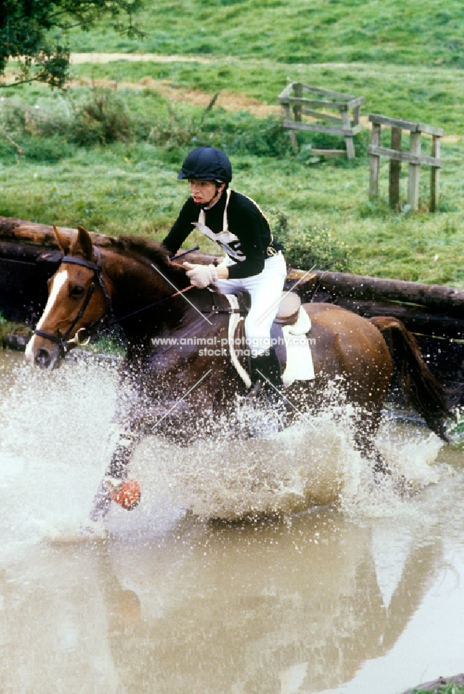 horse and rider at water on cross country at wyle horse trials