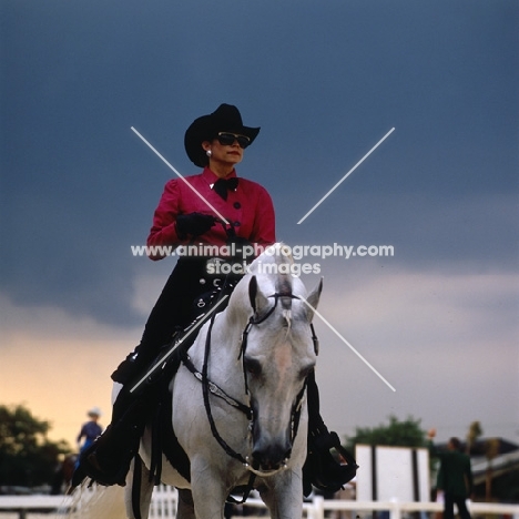 Arab Horse with woman rider at Tampa Show Western Saddle Class, USA 