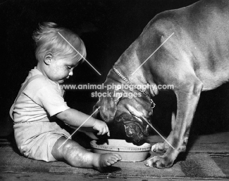 boy pointing at dog food