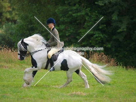 riding Piebald horse