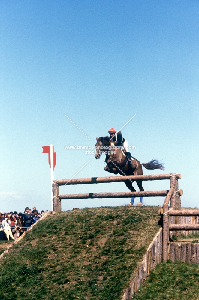 horse jumping a drop fence at  badminton horse trials