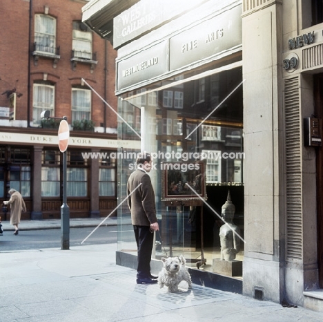 a man and his dog in a london  street