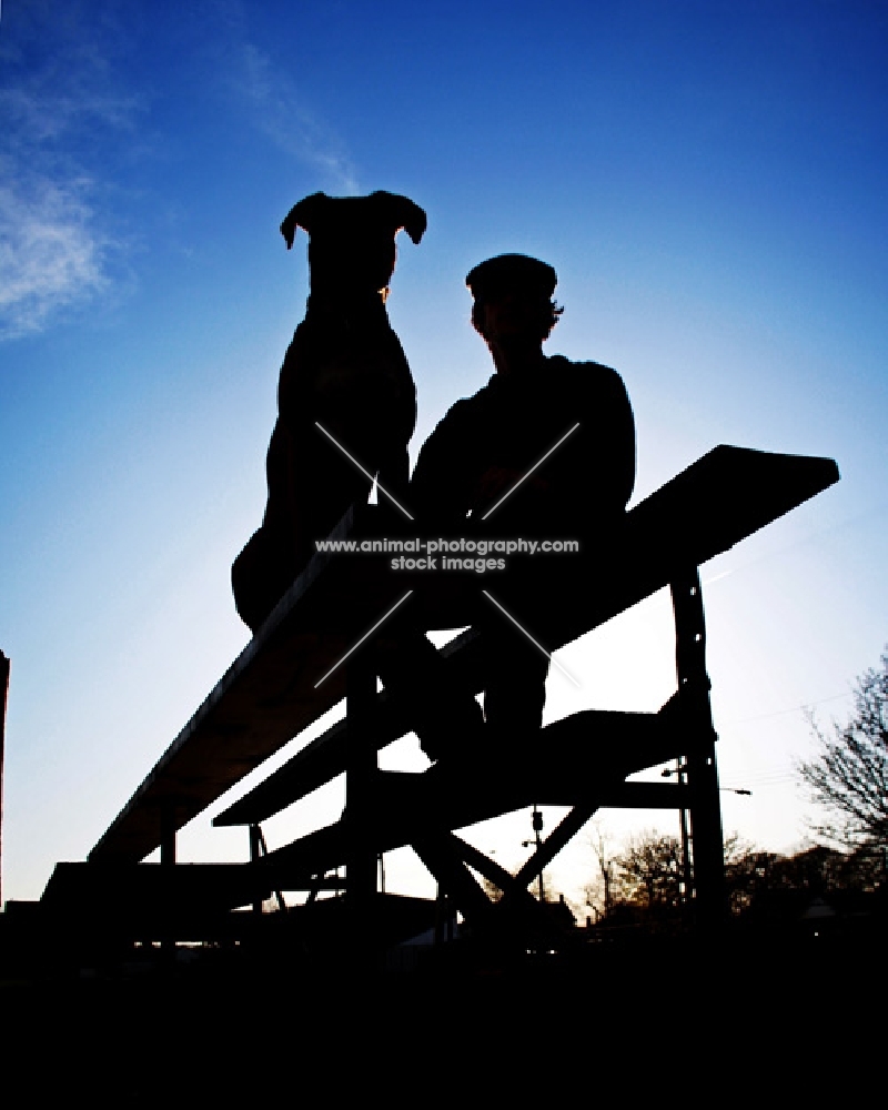 Silhouette of man and Boxer on bleachers
