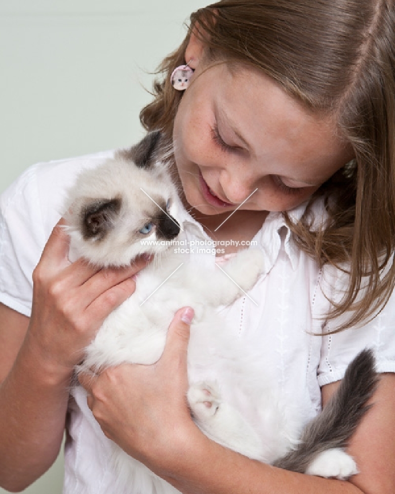 girl holding Ragdoll kitten