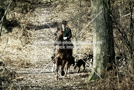 hunting scene on the continent