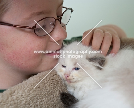 boy with Ragdoll kitten