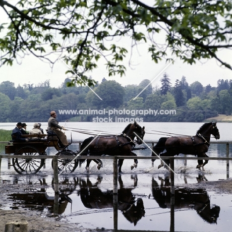 team of four, international grand prix at windsor show 1976