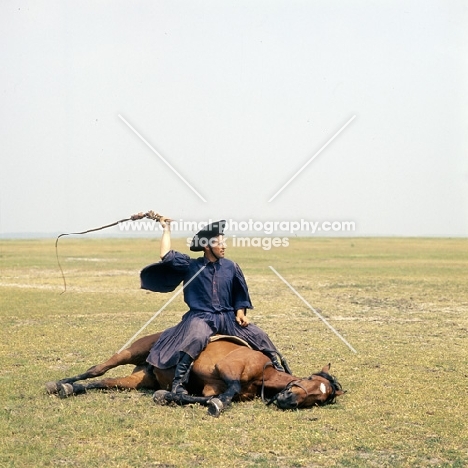 Csikó cracks whip showing off his horse's traditional tricks on the Puszta, Great Hungarian Plain