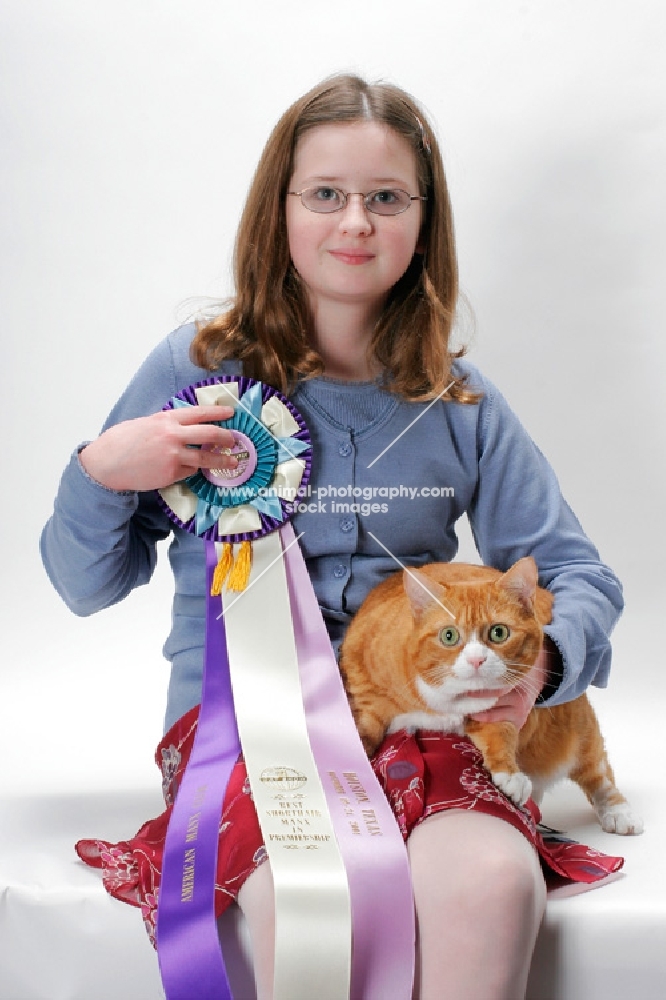 Manx cat with girl, Red Mackerel Tabby & White colour